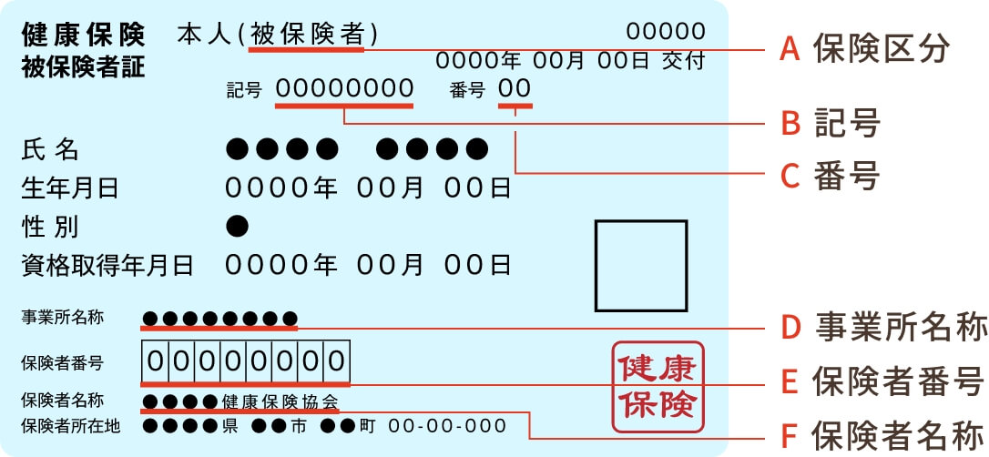 保険証 見本