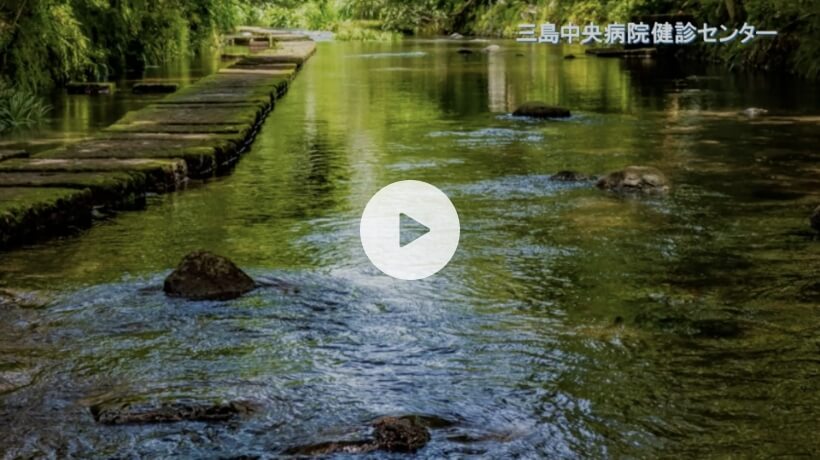 動画再生ボタン